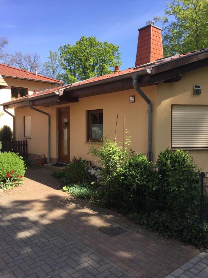 Ruhiges Ferienhaus ונדליץ מראה חיצוני תמונה